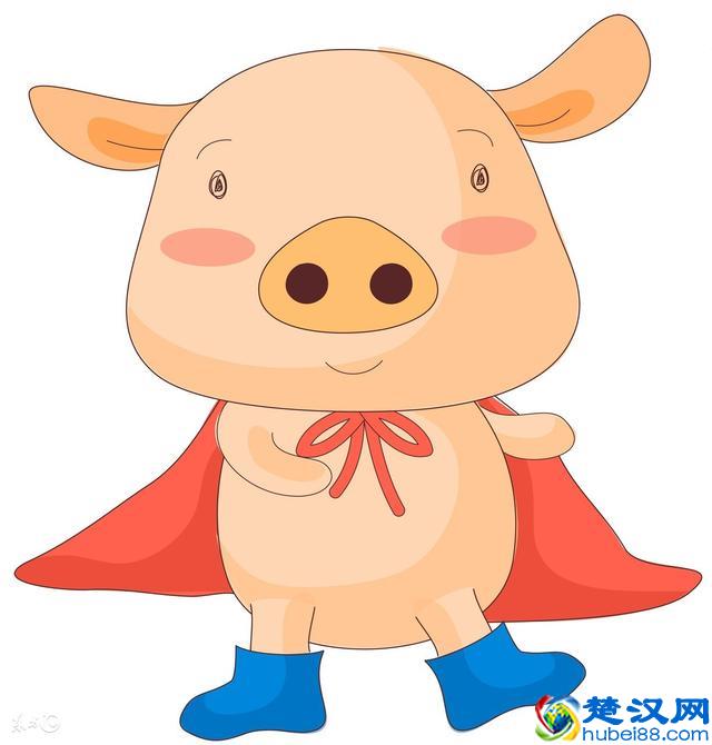 1995年生肖猪人在2018年综合运势