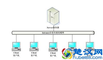 计算机网络概述：我们可以用网络干什么？路由器都有什么用？