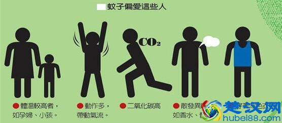 蚊子最喜欢咬哪种血型的人？最靠谱的驱蚊止痒方法都在这了