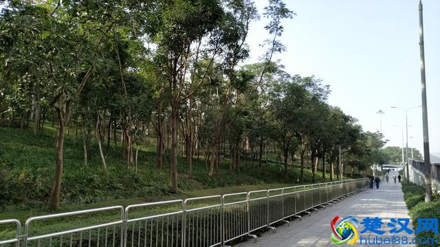 中国有两种CBD，一种是深圳福田的CBD，一种是其它城市的CBD