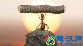 生活不只是眼前的苟且，还有诗和远方，有吗？