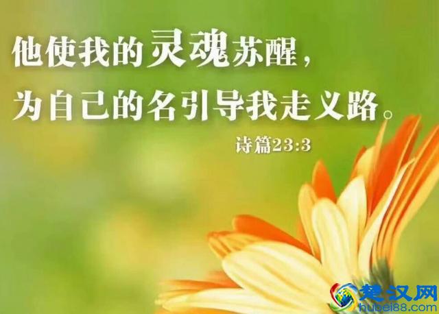 生活不只是眼前的苟且，还有诗和远方，有吗？