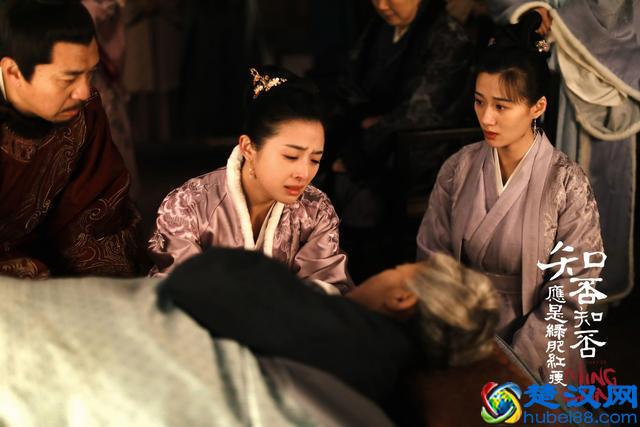 演技和颜值并不差，为何张含韵就是火不了了？