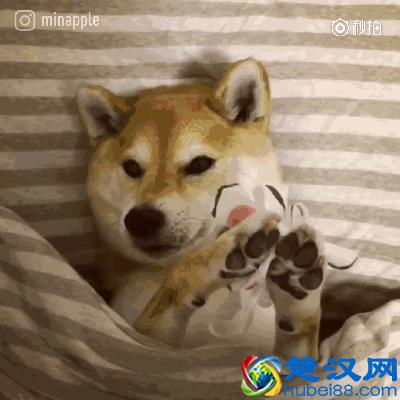 2019年面膜排行榜前十名，用效果告诉你面膜哪个好