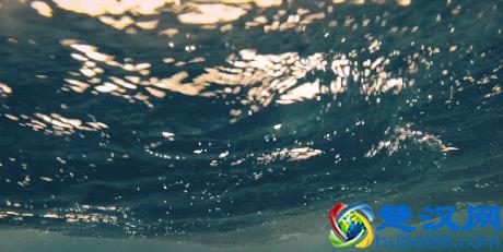 2019年面膜排行榜前十名，用效果告诉你面膜哪个好