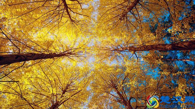 立秋到底忌吃什么?多吃什么对身体好?