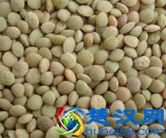 五谷杂粮是什么?五谷杂粮有哪些?五谷杂粮有哪些?