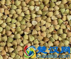 五谷杂粮是什么?五谷杂粮有哪些?五谷杂粮有哪些?