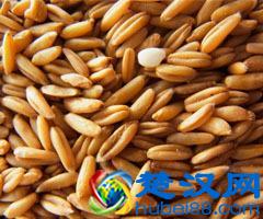 五谷杂粮是什么?五谷杂粮有哪些?五谷杂粮有哪些?