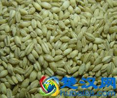 五谷杂粮是什么?五谷杂粮有哪些?五谷杂粮有哪些?