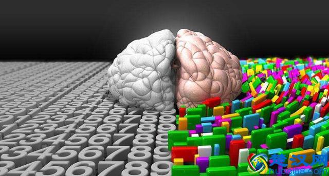 右脑和左脑，谁更胜一筹？右脑总是被描述的比左脑好