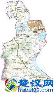 夏日高温，新鲜绿茶上市