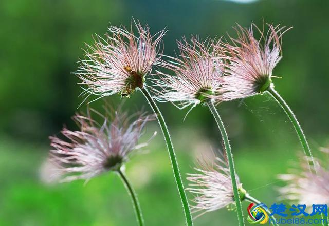 农村发展什么有前景?这3个行业值得好看