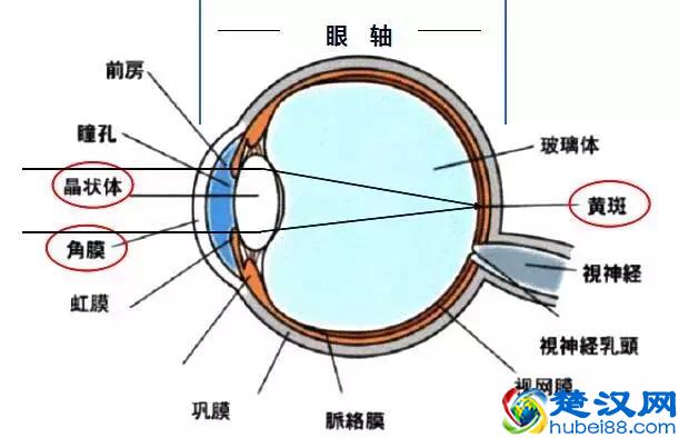 8大近视常见问题，全球父母都在关注，收藏起来吧