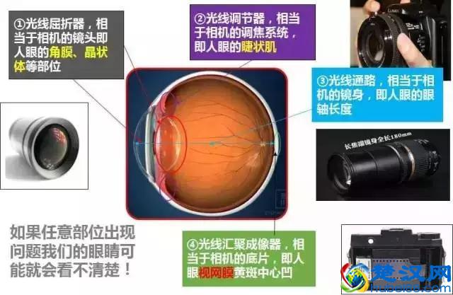 8大近视常见问题，全球父母都在关注，收藏起来吧