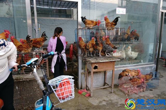 早市上这些美食卖火了,比农村大集都便宜