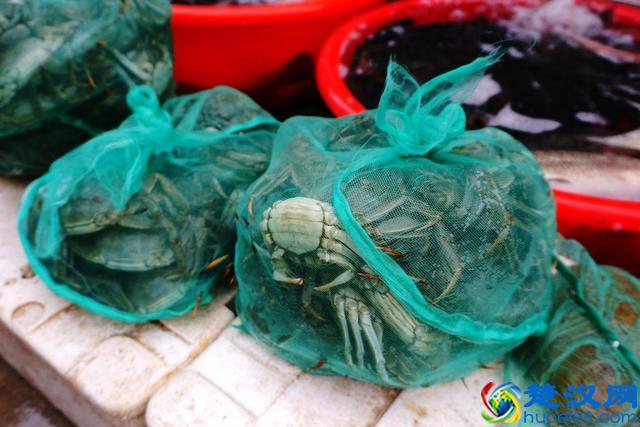 早市上这些美食卖火了,比农村大集都便宜