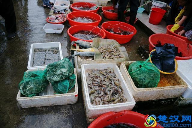 早市上这些美食卖火了,比农村大集都便宜