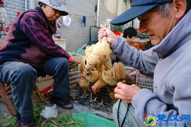 早市上这些美食卖火了,比农村大集都便宜