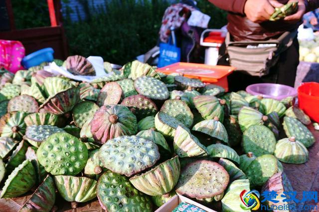 早市上这些美食卖火了,比农村大集都便宜