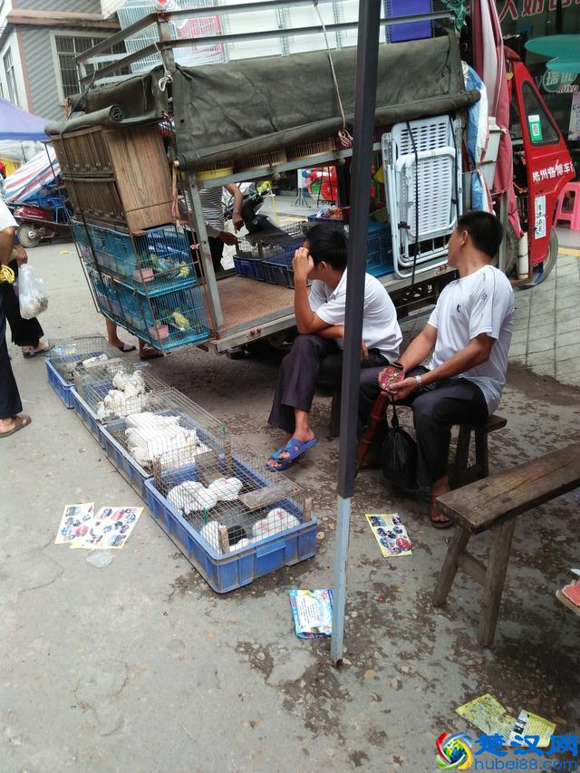 乡镇摆摊生意,这几种最赚钱