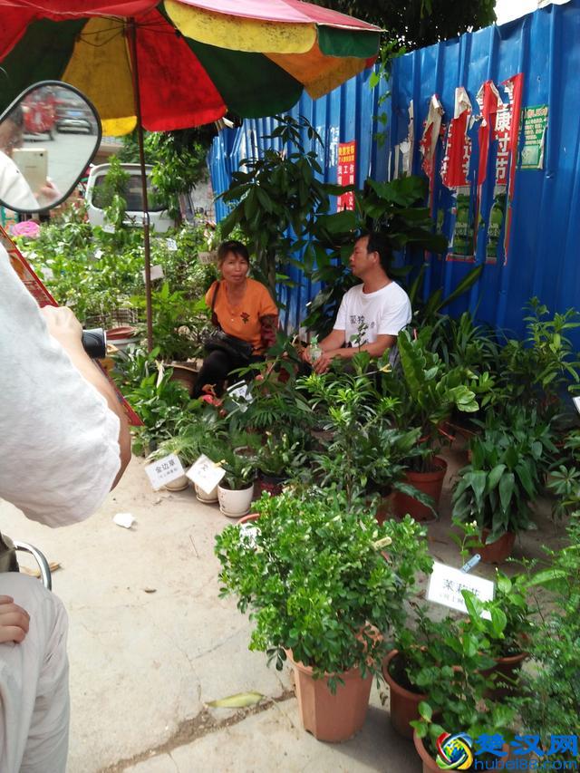 乡镇摆摊生意,这几种最赚钱