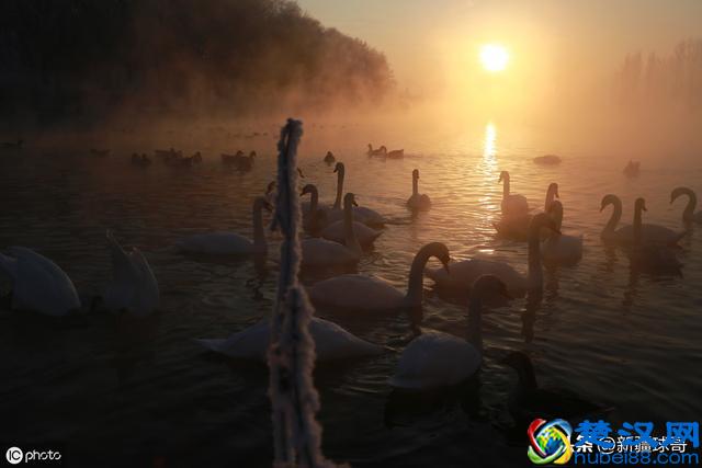 来新疆的甘肃人：我们不是来旅游，挣钱养家过上美好生活是目标