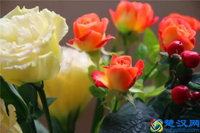 夏天插在瓶子里的鲜花如何保鲜？用这些方法一个礼拜都不会蔫！