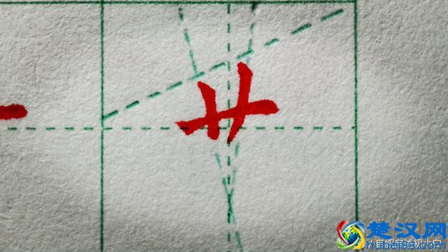 草字头是这样规范书写的，几组错误示例，指出大家的常见错误！