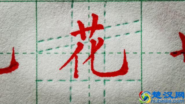 草字头是这样规范书写的，几组错误示例，指出大家的常见错误！