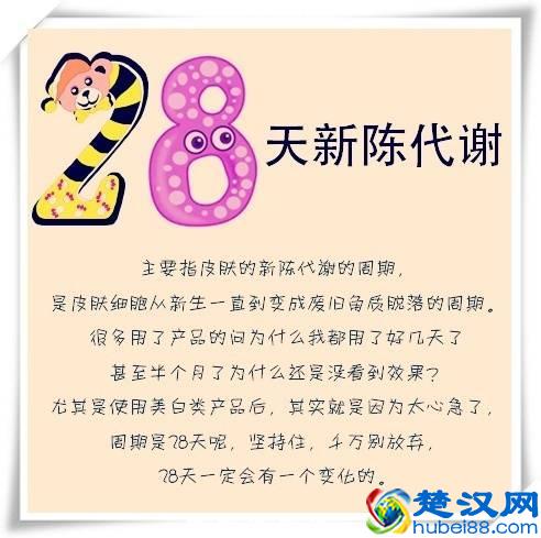 早上睡醒，脸上泛油、毛孔粗大？夏天脸要这样护理