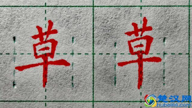 草字头是这样规范书写的，几组错误示例，指出大家的常见错误！