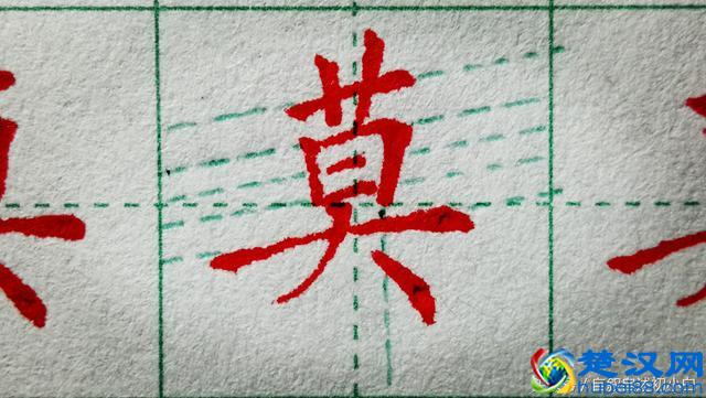 草字头是这样规范书写的，几组错误示例，指出大家的常见错误！