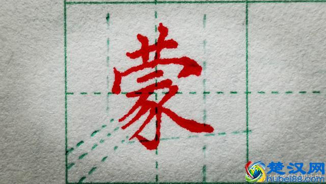 草字头是这样规范书写的，几组错误示例，指出大家的常见错误！