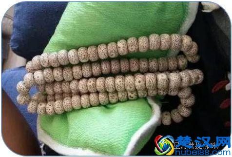 玩星月菩提子的人很多，但真正能盘出来漂亮的没几个！总结原因