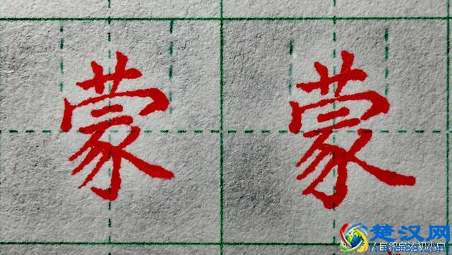 草字头是这样规范书写的，几组错误示例，指出大家的常见错误！