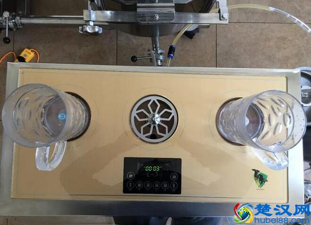 啤酒招商小支瓶装啤酒供货商