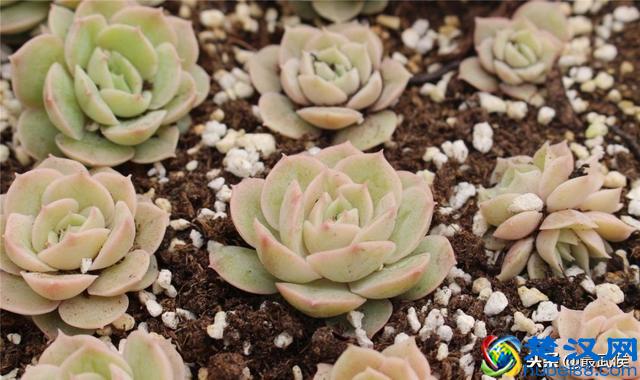 在哪里买东西又好又便宜？2018成都最全批发市场合辑来了