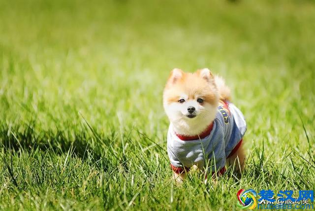 在哪里买东西又好又便宜？2018成都最全批发市场合辑来了