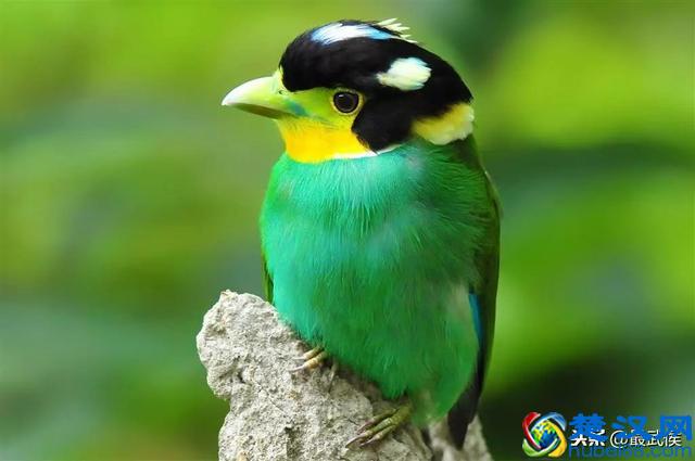 在哪里买东西又好又便宜？2018成都最全批发市场合辑来了