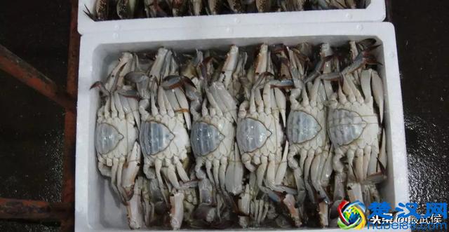 在哪里买东西又好又便宜？2018成都最全批发市场合辑来了