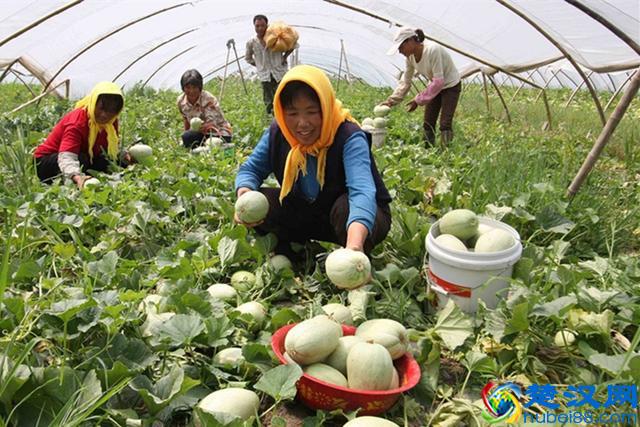 现在农村做什么工作比较有前景？看完你就知道了