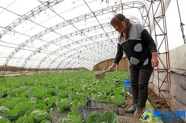 现在农村做什么工作比较有前景？看完你就知道了