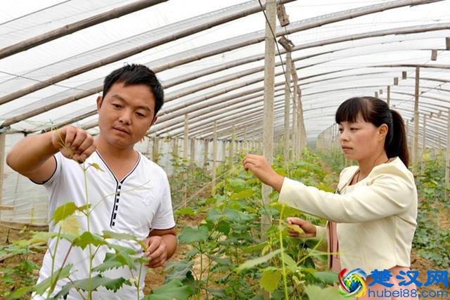 现在农村做什么工作比较有前景?看完你就知道了