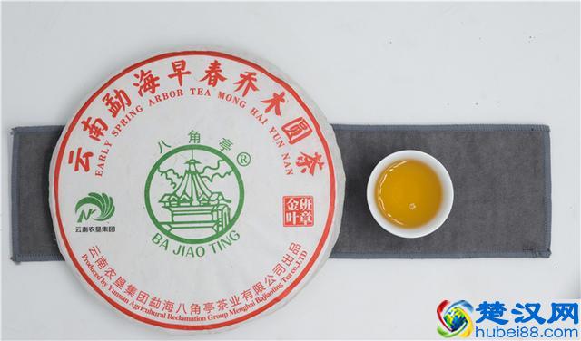 八角亭·班章金叶，品味茶树深山里最为低调的叶子