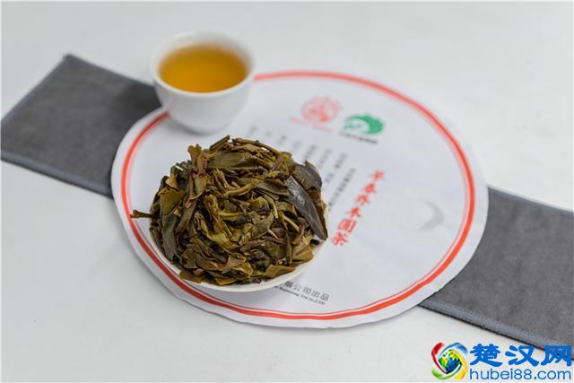 八角亭·班章金叶，品味茶树深山里最为低调的叶子