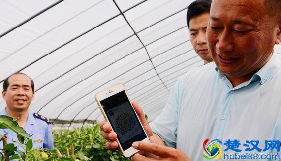 种什么最赚钱，推荐这3个种植项目