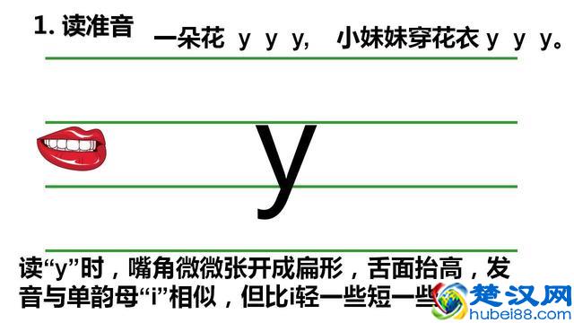 一年级汉语拼音声母y、w和整体认读音节的教学