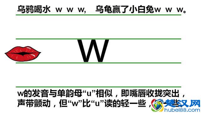 一年级汉语拼音声母y、w和整体认读音节的教学