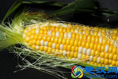 在农村开个小型加工厂赚钱吗？做什么加工项目赚钱？